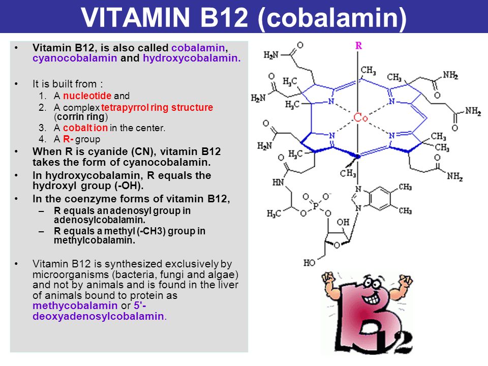 Valores normales de vitamina b12 en mujeres